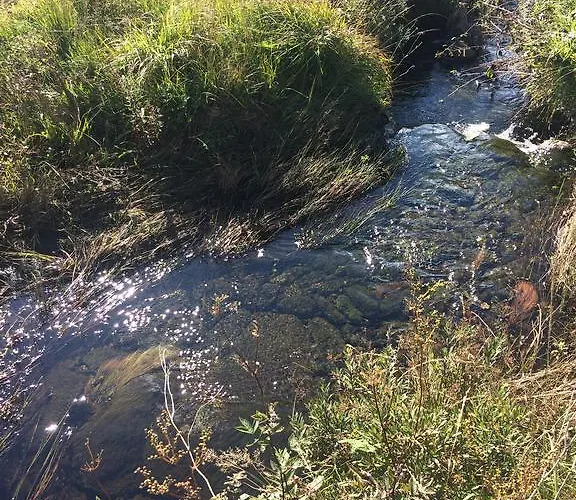 Cappa House ベッド・アンド・ブレックファスト 3*